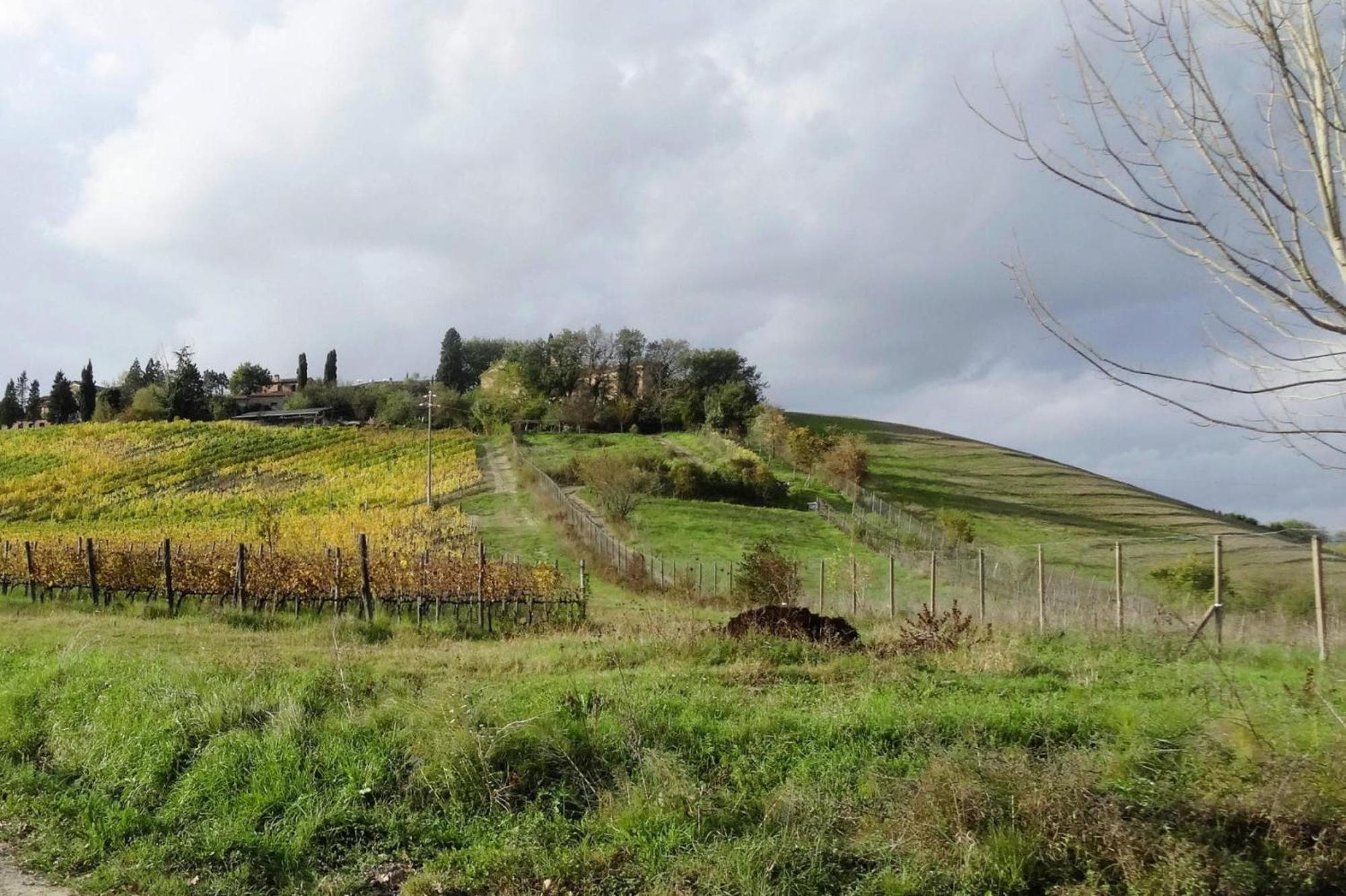 Apartmán Fattoria Bio Pieve A Salti Montalcino Exteriér fotografie